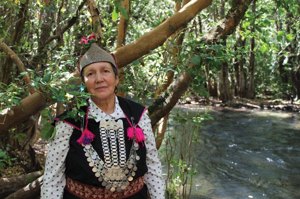 Juana Calfunao Paillaléf Advocate of Mapuche sovereignty