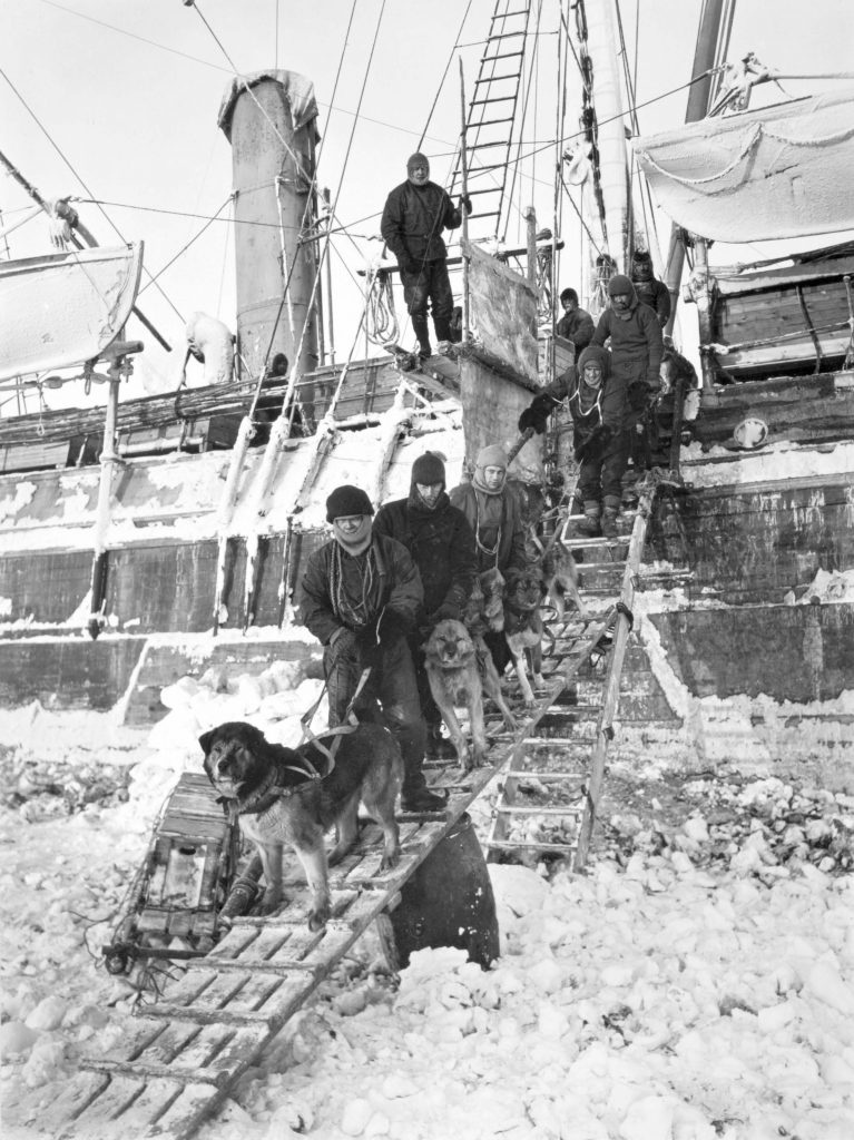 Shackleton watches as crew members take the dogs for exercise on the ice
