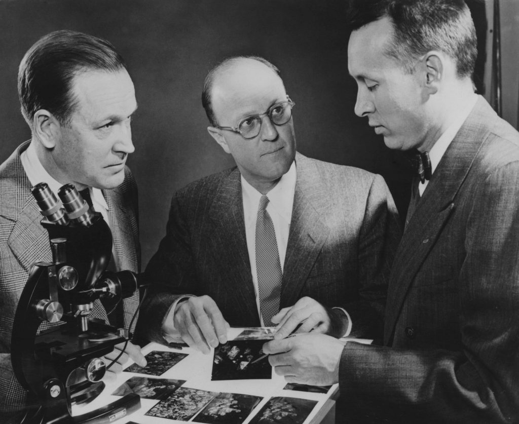  Scientists including Dr Chauncey Guy Suits (centre), vice president and director of research at General Electric, examine photomicrographs of diamond crystals formed in a press at the GE Research Laboratories in Schenectady, New York, 1955.