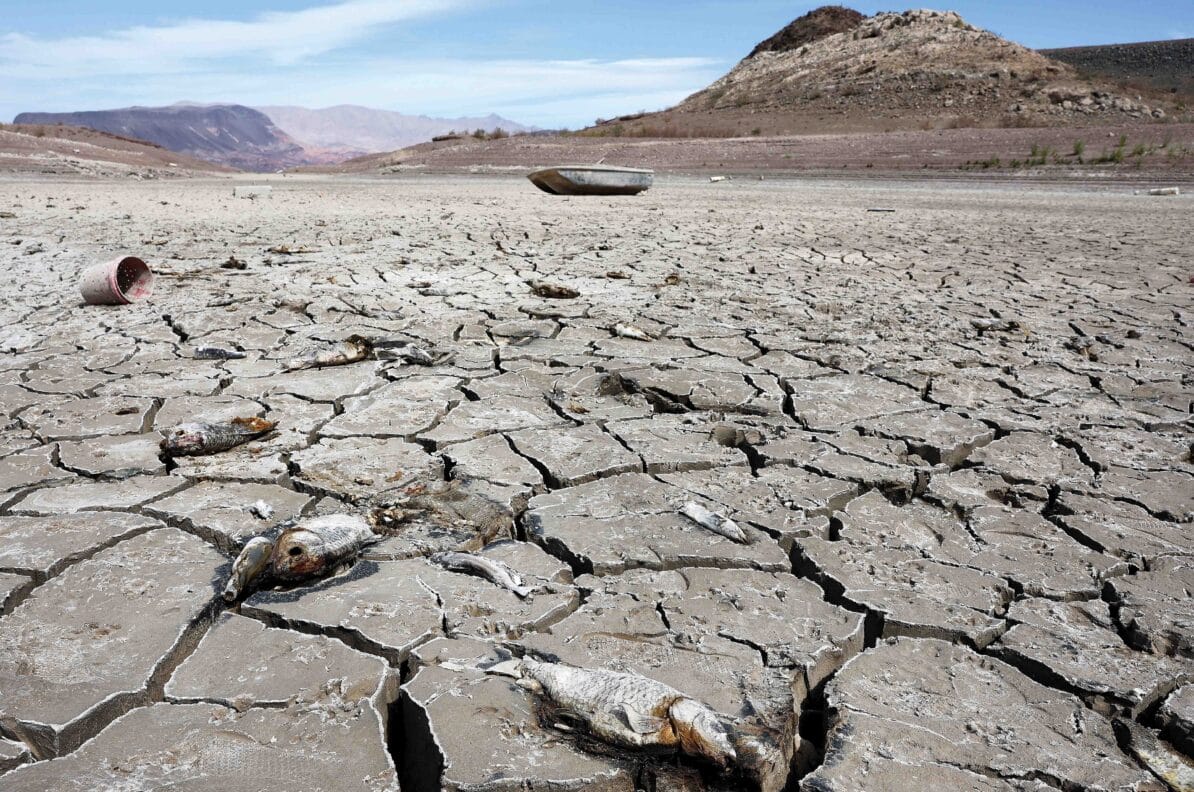Dead fish lie on a section of dry lakebed in drought-stricken Lake Mead on 9th May 2022. As water levels receded further over the summer human remains were revealed